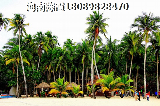 河南买房攻略2024~