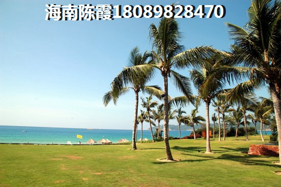 永信伯爵山活动现场
